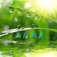 雨停了，留下了清新的空气和明媚的阳光。我深吸一口气，心中豁然开朗。人生就像这场雨，无论多么漫长，终会有结束的时刻。而我们要做的，就是在每一个当下，用心去感受，去体会，去拥抱那份属于自己的人生美好。