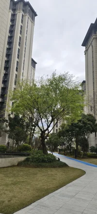 “人生最好的一天永远是今天，无论你现在处于什么状态，你都要明白，生活的目标是健康和快乐，开心过好每一天才是最重要的……”配图