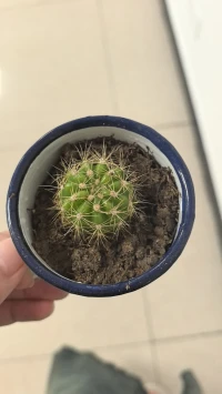 深知生活不能事情如意，
所以尽力之后选择顺其自然。配图