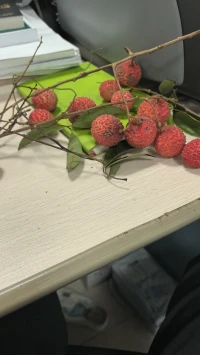 閑話一直有，不聽自然無。有趣的獨處，勝過虛偽的社交。配圖
