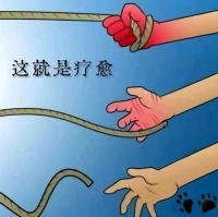 請(qǐng)不要焦慮，TA不能改變什么，只會(huì)擾亂你的思緒，讓你錯(cuò)過當(dāng)下最好的路。配圖