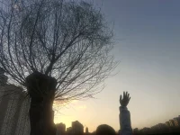 白天是情緒穩定的成年人，夜晚是心理ICU的重癥患者。---這是高功能抑郁癥配圖