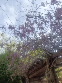 我们总以为“想清楚再行动”是成年人该有的成熟，但心理学中的“鲁莽定律”告诉我们：人生中85%的难题，其实只需要一句“先搞起来”就能破局。鲁莽定律（The Law of Recklessness）是心理学中的一个概念，指的是当你感到犹豫不决时，应该立即行动，而不是过度思考。它的核心在于：行动本身比追求完美更重要，因为行动能带来新的信息和机会，而犹豫只会让你停滞不前。鲁莽定律的本质，是用行动对冲内耗配图