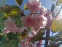 “讨坏型人格”并不是心理学中的正式术语，这个概念源自于对“讨好型人格”的反思与对立，指的是那些敢于表达自己真实情绪、拒绝过度讨好的个体。不同于大多数人为了避免冲突而压抑自己，讨坏型人格的人则敢于直接表达自己的“不想、不需要、不喜欢”，活得更真实、更有力量。从心理学角度来看，精神分析学派创始人弗洛伊德认为，攻击性是一种死本能 。在潜意识里，人们渴望回归无机状态，而攻击性便是这种本能的体现。当一个人无法将攻击性向外释放时，就会转向自身，进行自我攻击，进而产生心理问题。心理学真相：攻击性≠暴力，而是捍卫边界的勇气；讨坏≠自私，而是对自我价值的尊重；真实≠粗鲁，而是拒绝扮演“情绪乞丐”。配图