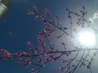 焦慮的本質是對未知的恐懼，而應對本身就是最好的疫苗。要相信，那些讓你焦慮的「萬一」，終將成為你笑談的「萬一」。就像沖浪者不會因為害怕浪涌而放棄大海，我們也不該為了躲避想象中的風暴，錯過真實世界的陽光。配圖
