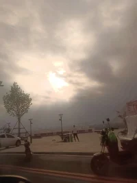 真正的成熟不是學會順從，而是掌握優雅說不的藝術。就像心理學家維克多·弗蘭克爾在集中營悟出的真理：在任何環境下，人都有選擇自己態度的自由。配圖