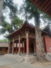 我們用上癮行為填補的，往往是內心未被看見的空洞配圖