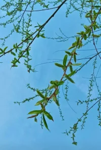 对于每个人来说，所学的每个知识
都是在为未来埋下颗彩蛋
它会在人生的某一刻成为惊喜的馈赠
帮我们横渡万丈迷津…配图