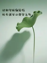 有些事知道就好，不必多說。
有些人認識就好，不必深交。配圖