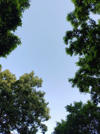 多接触大自然，呼吸新鲜空气配图