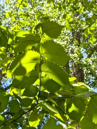 真正得到滋養(yǎng)，
享受由內(nèi)而外的富足…

重寫(xiě)自己的生命評(píng)語(yǔ)
改變阻止你與財(cái)富鏈接的壞習(xí)慣
創(chuàng)造自由的生活…
   ——《對(duì)財(cái)富說(shuō)是》配圖