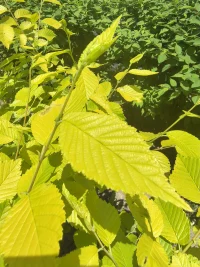 突然有一個感悟，為何很多女生不想結(jié)婚了，是因為女生覺醒之后，不再想過如母親一生般的婚姻生活；而男士會期待過上和父親一般的婚姻生活；
不喜勿噴，是我的真實感受，這句話好悲壯。

歡迎一起討論配圖