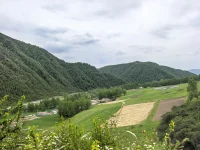 最近的咨詢，突然有一個感悟，為何很多女生不想結婚了，是因為女生覺醒之后，不再想過如母親一生般的婚姻生活；而男士會期待過上和父親一般的婚姻生活；
不喜勿噴，是我的真實感受，配圖