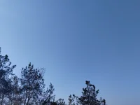 有关等于系没关系，没关系才有关系。配图