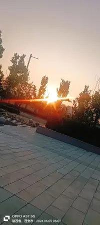 早上好呀，新的一天，美好的一天，陽光燦爛，加油??????配圖
