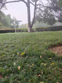 讨好，卑微，不配得感往往是来自于童年时期未被满足的情感需求