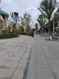 請做一個富有的人，當你是一個富有的人時，請把自己肯定，信任，鼓勵的言辭分享給他人，這樣你就會越來越富有。配圖