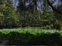 一个有温度的家庭，孩子想不优秀都难。做有温度的父母，给孩子成长以肥沃的土壤。