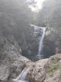 当一个人追着爱的时候，他便永远也得不到爱；当一个人只管付出爱时，得到的爱会更多。