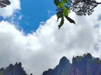 早间分享：
管理好我们的“头脑花园”
“头脑”就像花园
“想法”就像种子
“行动”就像是水
“感觉”就像太阳
我们想什么就会成什么

早晨，多想：富足、喜悦、爱、感恩…