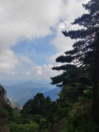 學(xué)習(xí)不止，成長(zhǎng)不斷。生命的意義在于找到人生的熱愛和使命。配圖