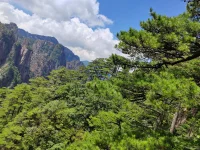 愛與恐懼，是兩種截然不同的生命振動，恐懼讓能量凝固，愛讓能量流動。

生活里的很多糾結，其實都是這兩種能量的拉扯，我們以為是“選擇太難”，其實是恐懼的聲音蓋過了愛的渴望。

我們總在恐懼的驅使下做選擇，卻忘了問：那層堅硬的殼里，是不是藏著不敢承認的渴望？

你最恐懼的地方，恰恰藏著最渴望的東西。
怕被拒絕的人，其實渴望深度連接；
怕失敗的人，其實渴望自我證明；
怕孤獨的人，其實渴望被看見。

你最害怕的地方，從來不是絕境，而是被恐懼鎖住的、未被看見的自己。

問自己：“此刻我做的，是出于愛，還是出于怕？”
愛的本質，不是因為怕失去而抓緊，而是因為想成全而放開。

因為“我怕”，所以我去做，這是恐懼產生的動機。
因為“我要”，所以我去做，這是愛產生的動機。

恐懼與渴望，本是一體兩面，就像硬幣的正反，你盯著反面的怕，就看不見正面的要。

最終解開恐懼封印的，永遠是愛。

不是源于外在的回報或需求，向外索取的愛，而是一種源于富足，向內生長的愛：愛自己的不完美，愛世界的不確定，愛每一個此刻的真實。

當你真正愛上自己，恐懼就會失去扎根的土壤，你知道自己足夠好，便不再怕被否定；你相信生活有饋贈，便不再怕意外降臨。

就像陽光驅散黑暗，不是因為對抗，而是因為它本身就是光明。

愛不需要打敗恐懼，只需成為愛本身，恐懼自會消融。

當愛成為底色，恐懼會變成一種提醒，提醒你在意什么，渴望什么，該往哪里走。配圖