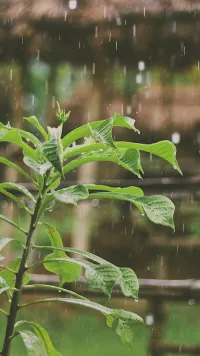 我们不要被年纪困住了
别让别人告诉你什么年纪该做什么
根本没有最好的年纪
只有最好的心态