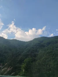 能把别人的苦难看在眼里是一种稀缺的品质，而这种品质又稀缺变得高贵，不是因为高贵而变得稀缺。