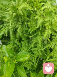 不是別人好了自己才好，而是自己好了別人也會(huì)好