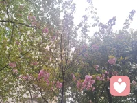 凡事你想要别人知道的东西，你就得展示出来，这样别人才能看得见；要是摆在显眼的位置，那就更合适了，别人就更容易发现；要是位置显眼，在吆喝几声，别人就更更更容易发现了。
