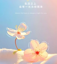 每個人都在終其一生編寫自己的人生詞典一一關于“我”，關于“愛”，關于“幸福”。
寫好自己的人生詞典，最重要的原則:
不和別人比，好好活自己。配圖