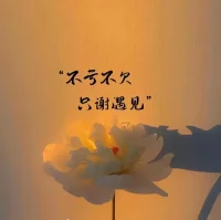 不虧不欠，只謝遇見，我在這里等你。配圖
