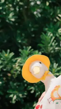 來(lái)聊聊鴨配圖