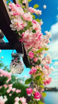 撥弦清吟，卻愁盡鏡里的細眉淺妝，那些清淺時光，莫不是為等待一個夢里花開的遠客，一場寥落繁花的期許。晚安！配圖