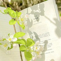 .我爱他，是因为他像爱情本身应有的样子。配图