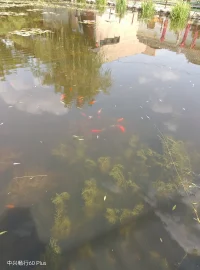 生命的路上别停留在挫折中，每一步都离成功更进一步配图
