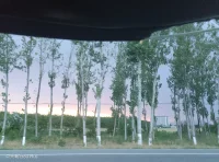 让我们一起走近孩子理解孩子倾听孩子欣赏孩子鼓励孩子，使孩子拥有一个快乐的童年