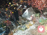 傾聽是種子，鼓勵是陽光配圖