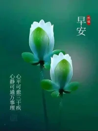 心安则人安，心不安则人不安。让心安静，安宁，安稳，是我们每个人要做的课题。