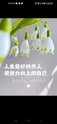 你是什么樣的人就會遇到什么樣的人，我們不能決定別人，但可以努力做好自己。即便不為相遇，自己也有能力過好這一生。配圖
