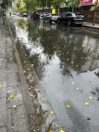 下雨了，有没有人需要我帮忙撑伞