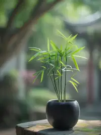 人生的三大错误：和糊涂人说明白话，和不靠谱的人做正经事，和无情的人谈交情。