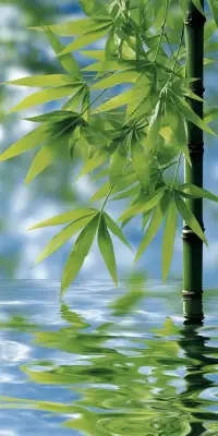 抬头是对生活的态度，
低头是对生活的宽容，
好与不好都是生活，尽力就好。

真正的幸福和逍遥，
不是拥有财富和权势，
而是身体没病，心里没事。

​配图