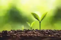 【调 频道】  
焦虑就像脑子里的小广播，整天放坏消息，你得学会自己换台，调到“我能行”频道，声音开大点！

“改变不是突然发生的，但突然会发现已经改变。”

“只因你是世界上最偉大的奇迹”