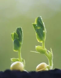 無論現在你的生活多么糟糕，多么暗無天日，多么不如意，都會有撥云見日的時候！再回頭時才明白：一切都是如此之平常！配圖