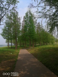 每天給自己5分鐘靜心時間，閉上眼睛，深呼吸，感受身體的每一個部位，感覺自己很輕松，微風(fēng)拂面。配圖