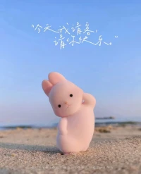 今天我請客，請你快樂！配圖