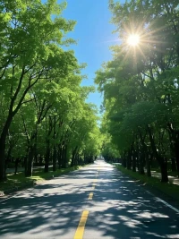 晨光灑在窗臺，新的一天是生活溫柔的邀約。早安，記得把好心情裝進口袋配圖