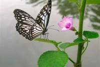 我們無法控制發(fā)生什么，但我們可以練習(xí)如何回應(yīng)。配圖