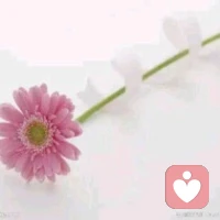 总有些话，无法对身边的人说。
  怕他们担心，怕不被理解，怕成为负担。
  如果你需要一个安全的树洞，
  我在这里。
  让我陪你，把那些拧巴的情绪，一点点理顺。配图